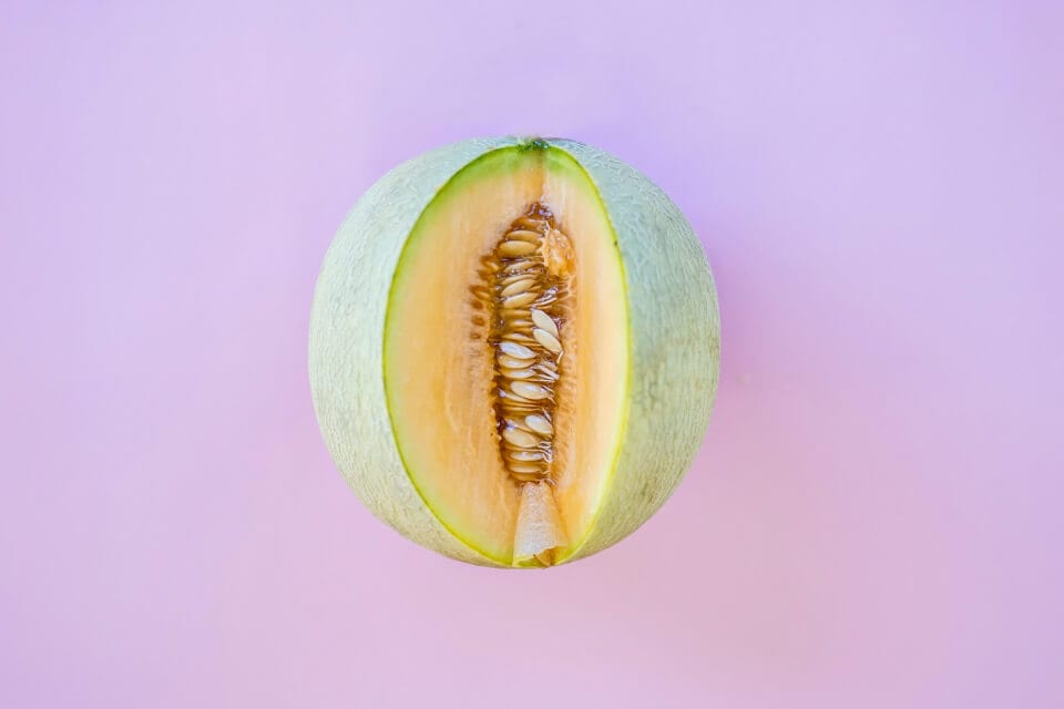 image of a melon