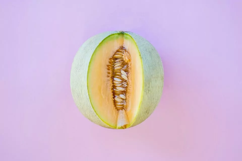 image of a melon